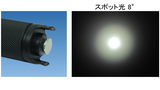 Big blue ビッグブルー  AL-450NM Tail Ⅱ ダイビングライト